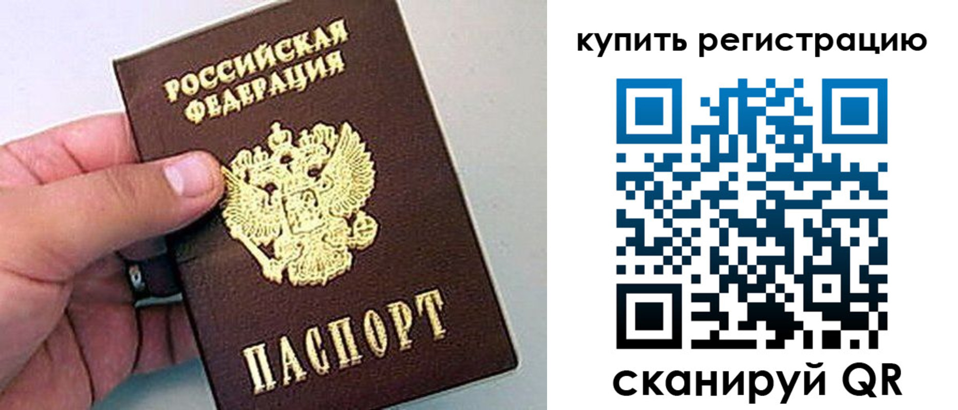 временная регистрация надежно в Железногорске